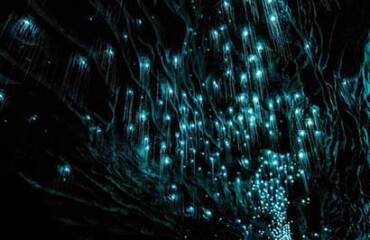 Northern Middle Earth Explorer Image 2