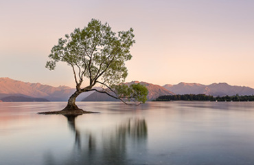 Intrepid Travel: New Zealand Southern Pioneer Image 4