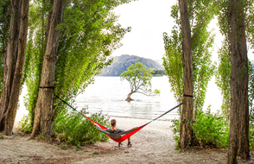 West Coast Escape with TranzAlpine Image 3