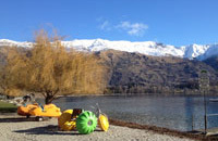 TranzAlpine and West Coast Glaciers to Queenstown Image 5