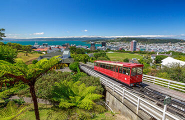 9 Day Queenstown to Wellington Adventure Image 2