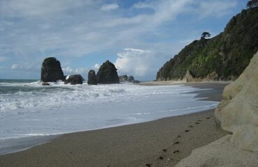 South Island Coastal Self Drive tour Image 5