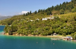 Click to view full image