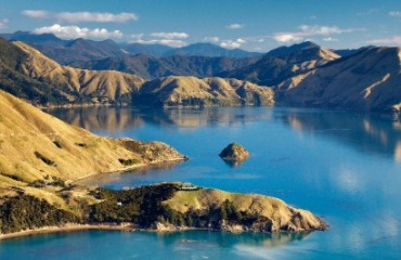 The Ultimate NZ Coastal Safari Image 5