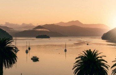 The Ultimate NZ Coastal Safari Image 4