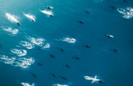 Click to view full image