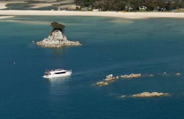 Explore Wellington and Marlborough Tour Image 3