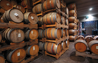 South Island Luxury Wine Adventure Image 2