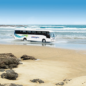 Bay of Islands and Rotorua Combo 5 Day Tour