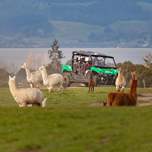 Fabulous New Zealand