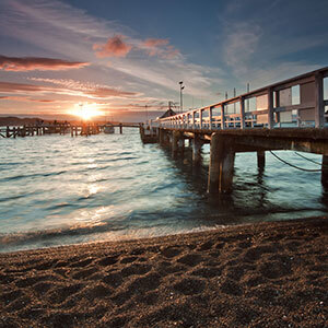 Bay of Islands Encounter
