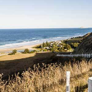 Auckland to Christchurch 20 Day Highlights