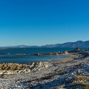 Queenstown to Queenstown South Island Highlights
