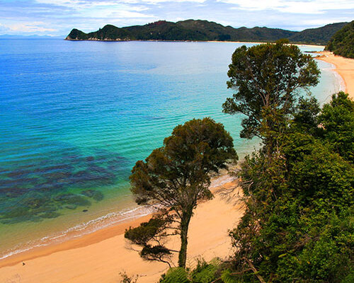 Elegance of the South Tour