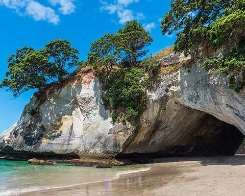 Ultimate New Zealand