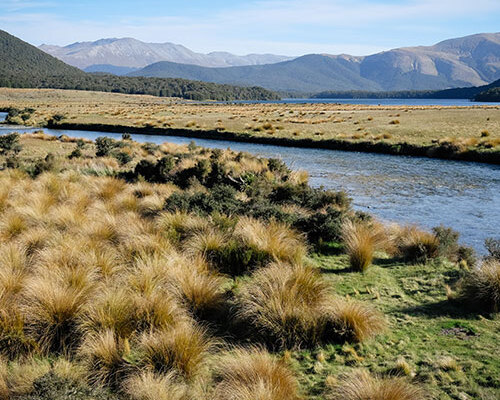 Southern Middle Earth Explorer