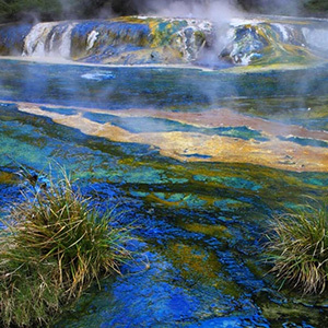 AAT Kings: New Zealand Panorama 25/26