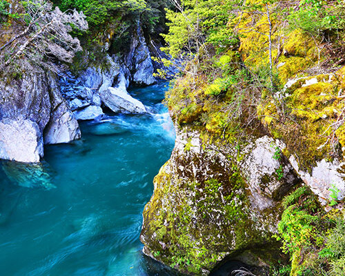 Northbound Must See Tour