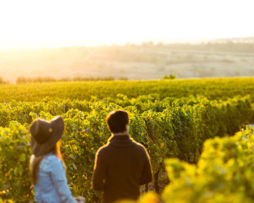 Seas to Summits Tour