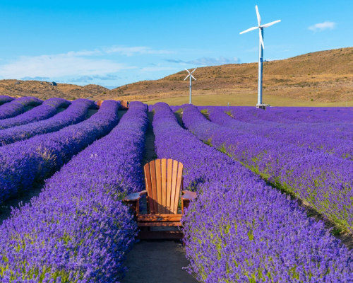 The Centre of the South Tour