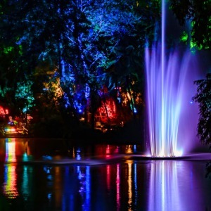 Leisure Time Travel: New Plymouth Festival of Lights