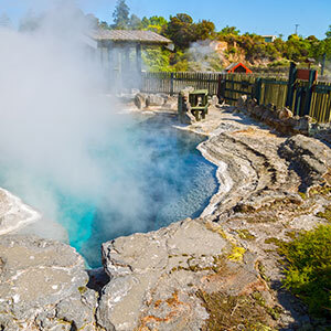 North Island Spectacular