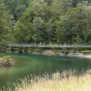 Southern Highlights and Milford Track Guided Walk