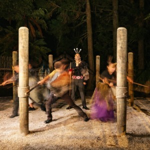 The Rotorua Collection