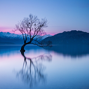 New Zealand Stargazing Tour