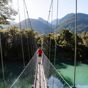 The Hollyford Wilderness Experience