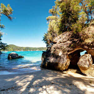 Extended Discovery of New Zealand