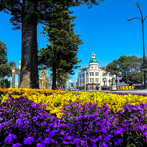 Accessible Aotearoa: Wellington to Hawkes Bay Explorer