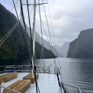 Whakatipu to Wilderness