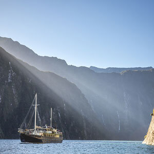 City, Mountains and Milford Sound Getaway