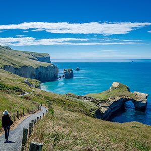 Southern Coast and Stewart Island Nature Tour