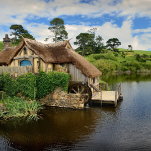 Waitomo, Rotorua & Hobbiton Uncovered Tour