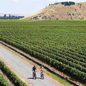 Auckland to Christchurch Essential Wine Explorer