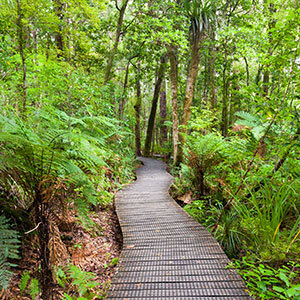 7 Day Boutique Northland Tour