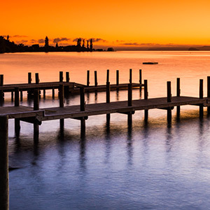 Wellington to Auckland Explorer Tour