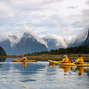 Southern Highlights Tour including Milford Sound