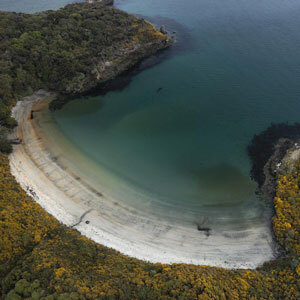 Southern Coast and Stewart Island Nature Tour
