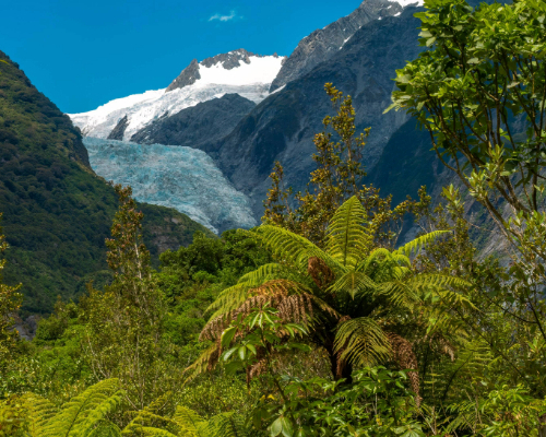 Landscapes and Legends of the South Island