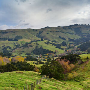 9 day South Island Wine Adventure