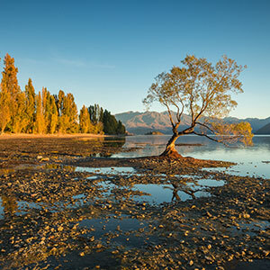 Southern Alps & Southern Lakes