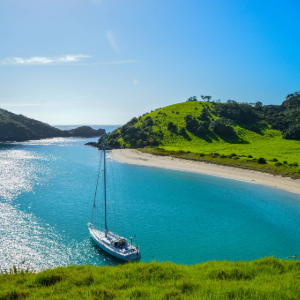 The Complete Kiwi Journey