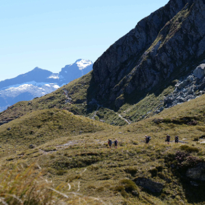 Routeburn Great Walk & South Island Wonders
