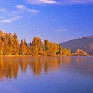 Autumn leaves in Wanaka