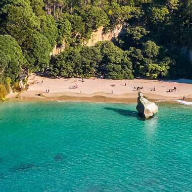 Kayak Tours New Zealand