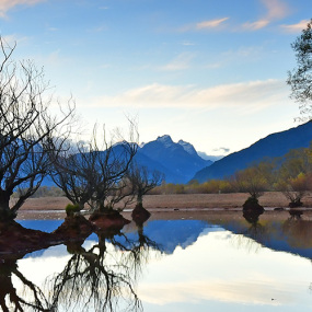 Glenorchy Trees in Lake