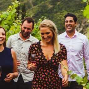 Altitude Tours Wine Sampler
